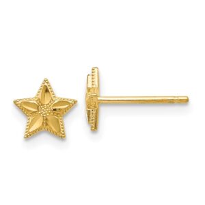10 karat yellow gold star post earrings.