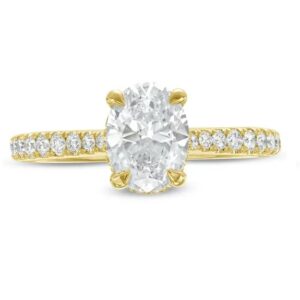 14 Karat Hidden Halo Engagement Ring With Newborn Created Diamond