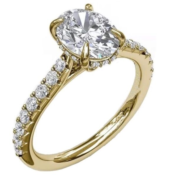 14 Karat Hidden Halo Engagement Ring With Newborn Created Diamond