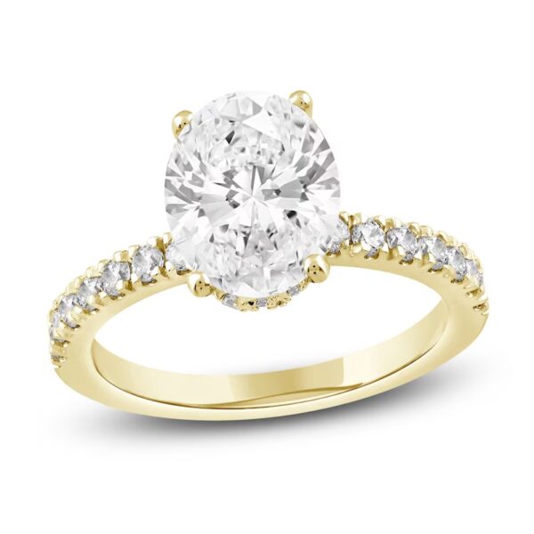 14 Karat Hidden Halo Engagement Ring With Oval Newborn Created Diamond